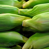 SmugMug > all-time keyword > never > I never thought that corn could look so good ...