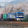 SmugMug > keywords > goods > Colourful Freight Train.