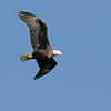 SmugMug > keywords > flight > PESO photo