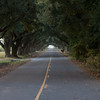 SmugMug > all-time keyword > louisiana > Denmark photo