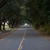 SmugMug > all-time keyword > louisiana > Denmark photo