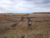 SmugMug > keywords > position > Texas Thanksgiving 2009 photo
