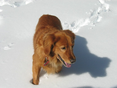 Aspen: 2003 - 2004 photo