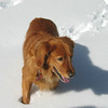 SmugMug > keywords > lake > Aspen: 2003 - 2004 photo