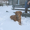 SmugMug > keywords > lake > Aspen: 2003 - 2004 photo
