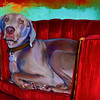 SmugMug > all-time keyword > cooper > October 2009 >  cooper_6