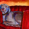 SmugMug > all-time keyword > cooper > October 2009 >  cooper_7