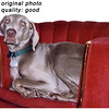 SmugMug > all-time keyword > cooper > October 2009 >  cooper_or