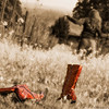 SmugMug > keywords > them > Who Needs Them ...
DSS #41 (Shoes)