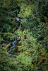 SmugMug > keywords > another > Portfolio >  ANOTHER GLACIAL RIVULETSSC - -2550