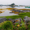 SmugMug > keywords > blue > Nova Scotia photo