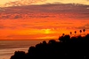 SmugMug > keywords > calif > The Color of Sunset