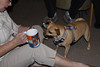 SmugMug > keywords > friends > Patsy showing Jasper is mug on the Kodak Photomug