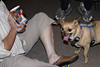 SmugMug > keywords > friends > Jasper approves of his photo!
