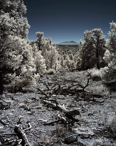 Invisible Light (Infrared) photo