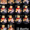 SmugMug > all-time keyword > month > Winnie the Pooh pics photo