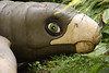 SmugMug > keywords > ruler > Archelon, "ruler turtle" closeup