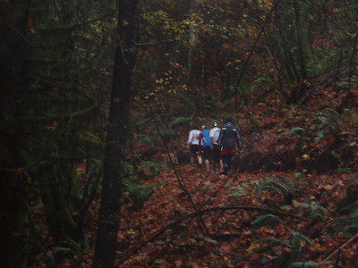  > Missing link - ultrarunning?