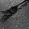 SmugMug > keywords > project > [6/365]
January 6, 2010 "Drizzled Silverware"