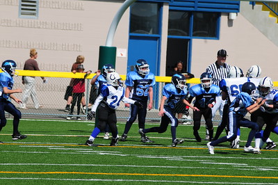 Peewee Football photo