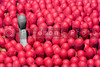 SmugMug > keywords > safety > A lone kitchen match standing above the crowd.