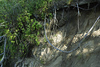 SmugMug > keywords > uncover > Erosion