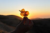 SmugMug > all-time keyword > lebanon > Greeting Cards photo