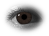 SmugMug > all-time keyword > render > Synthetic image with iris colour simulated using ILIT, a predictive light transport model for the human iris from my research.