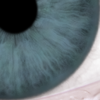 SmugMug > all-time keyword > render > Synthetic image with iris colour simulated using ILIT.  Low melanin concentration.
