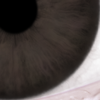 SmugMug > all-time keyword > render > Synthetic image with iris colour simulated using ILIT.  High melanin concentration.