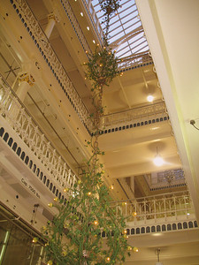  > A chandelier of Hops Vines from the Worlds Fair that was held in St.Louis
