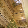 SmugMug > keywords > long > A chandelier of Hops Vines from the Worlds Fair that was held in St.Louis