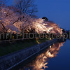 SmugMug > keywords > cherry > Getting in Closer.