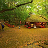 SmugMug > all-time keyword > break > Coffee break along a hiking path