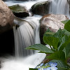 SmugMug > all-time keyword > sasebo > Japan - Sasebo photo
