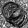 SmugMug > keywords > wire > Also Shared on Flickr >  wire 04