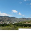 SmugMug > keywords > koko > Koko_Head.jpg