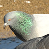 SmugMug > keywords > test > Spain & Portugal photo