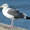 SmugMug > keywords > test > Spain & Portugal photo