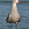 SmugMug > keywords > test > Spain & Portugal photo