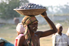 SmugMug > all-time keyword > india > Faces and Places  photo