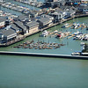 SmugMug > all-time keyword > platforms > San Francisco Pier 39 and Sea Lions