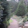 SmugMug > keywords > towards > 1-3 of the Best Pictures from each Trip >  northside path towards crescent circle BEFORE