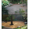 SmugMug > keywords > before > Olympics August 2008 photo